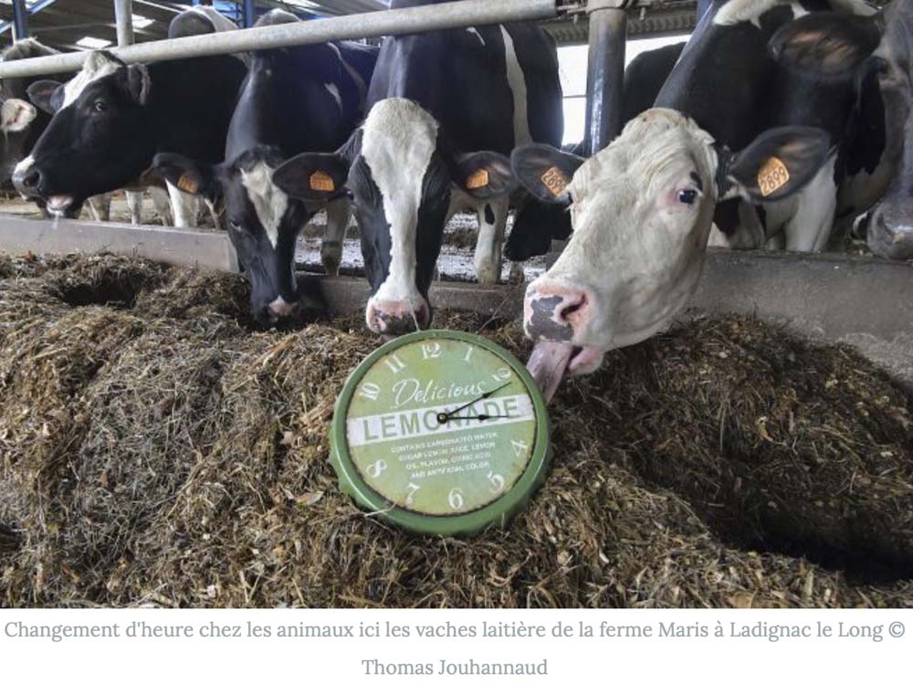 Les animaux de la ferme et le changement d'heure