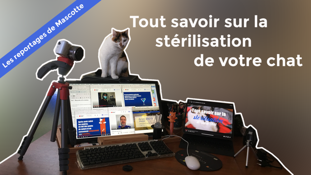 Mascotte est entourée de matériel audiovisuel pour la stérilisation du chat