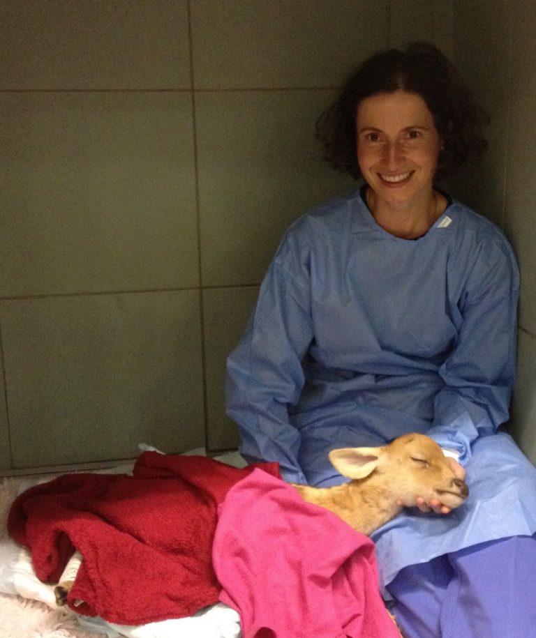 Dr Clémence Delepierre