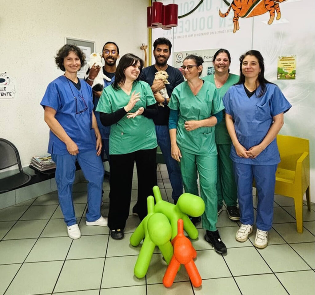 MLV-Bienvenue équipe clinique My Little Véto