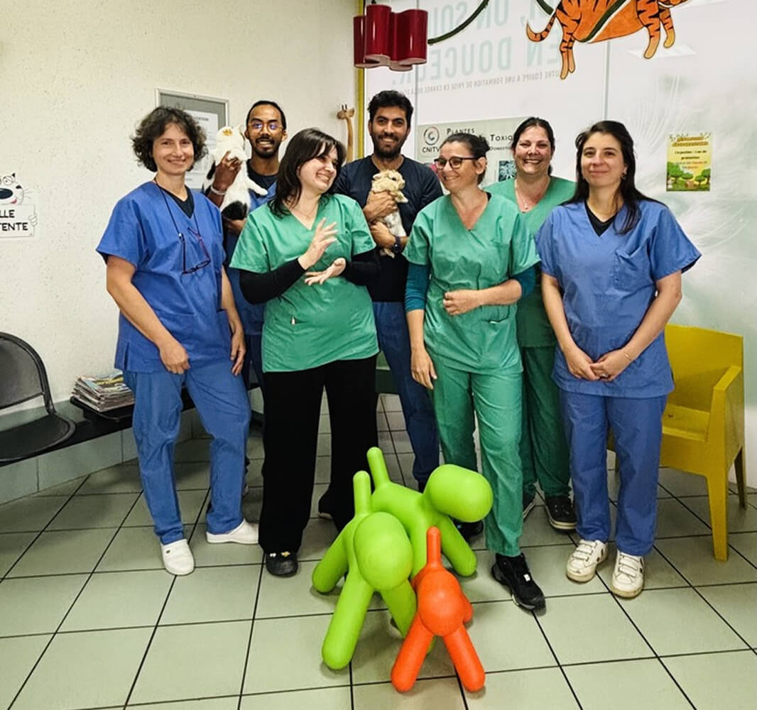 équipe vétérinaire clinique My Little Véto