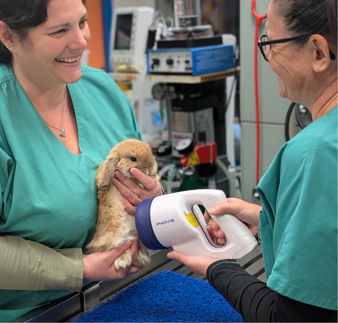 Vétérinaires, auxiliaires de santé, ASV