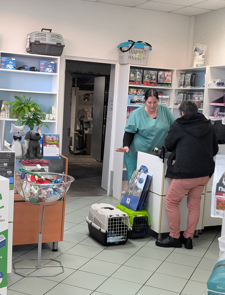 MLV-Contact-1 Contactez la clinique vétérinaire My Little Veto